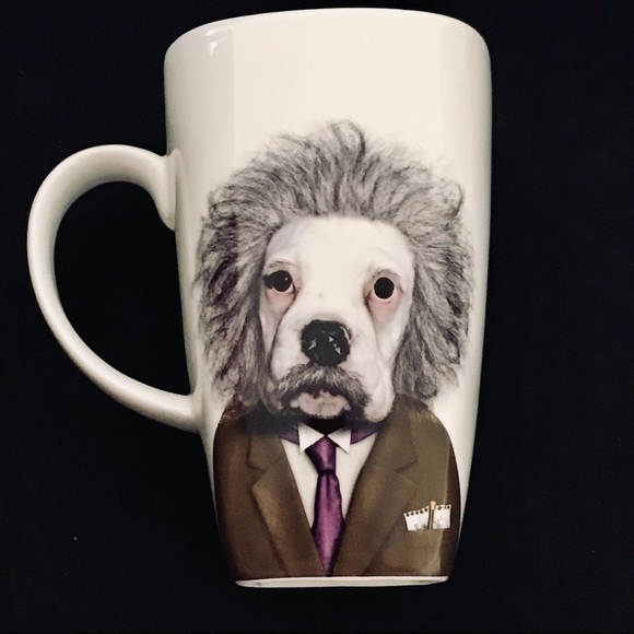 Pets Rock Other - Pets Rock / BRAIN / Mug / NIB